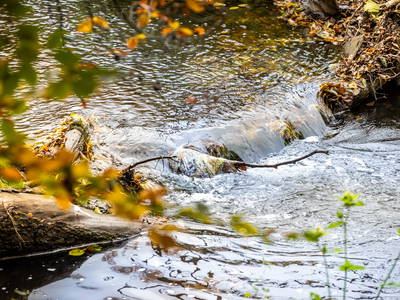 Bild 55 aus  Gut Neuwerk