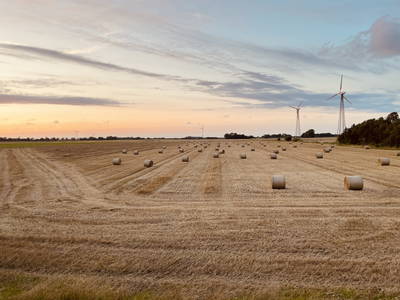 Bild 6 aus  Drei Tage am Meer