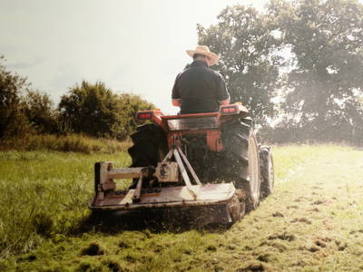 Bild 8 aus  Forsthof Niendorf