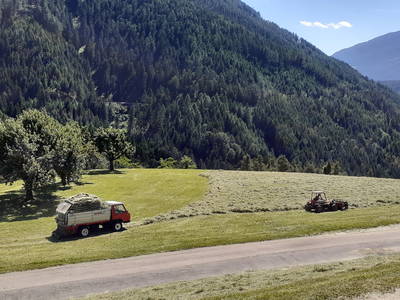 Bild 43 aus  Kreuzplon