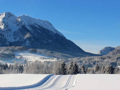 Bild 29 aus  Sotterhof