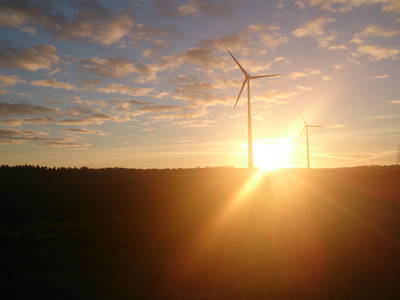 Bild 10 aus  Ferienhof  Steinbruch