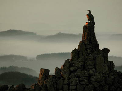 Bild 15 aus  Der Wassermannshof