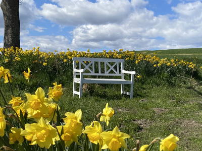 Bild 31 aus  Ferienhof Messer  Bauernhofurlaub  Ostseenähe  Ponys