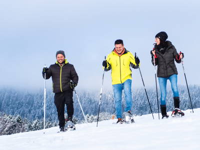 Bild 10 aus  "Forellen - Reiterhof" 5 Sterne Hof direkt am See