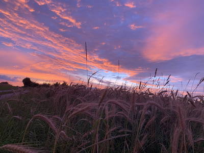 Bild 33 aus  Gästehaus im Lochautal