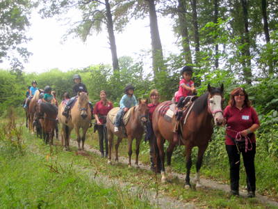 Bild 13 aus  Freizeit- und Ferienreiterhof Odenwald