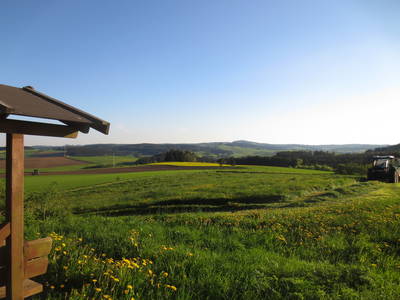 Bild 10 aus  Ferienhof Kießling