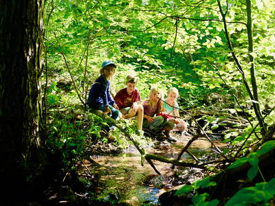 Bild 37 aus  Hof Obst – Stauden, Kräuter und Tiere im Dosse-Seen-Land