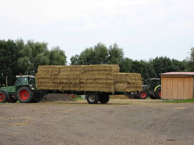 Weizenstroh wird eingefahren
