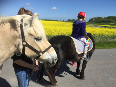 Bild 10 aus  Ferienhof Lorenzen