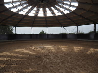 Bild 64 aus  Gestüt Hof am See