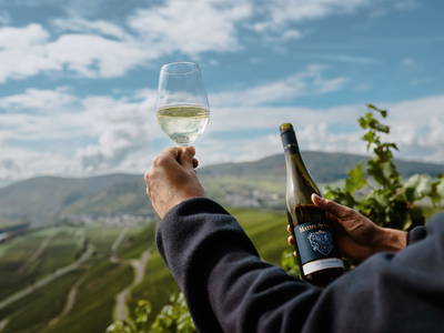 Bild 6 aus  Ferienwohnung Weingut Mathy Schanz