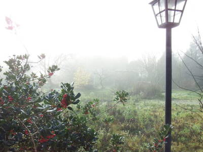 Bild 12 aus  Ferienhof Rauchhaus