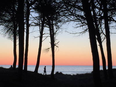 Bild 18 aus  Casa Nova