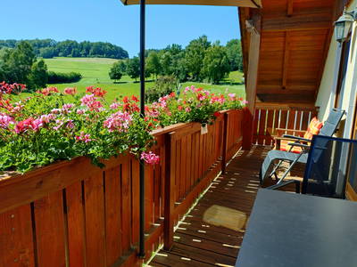 Blick vom Balkon-Fewo Burgstallblick