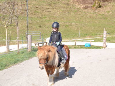 Bild 29 aus  Donauerhof