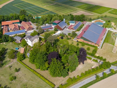 Bild 10 aus  Hof Albersmeier Urlaub am Stall