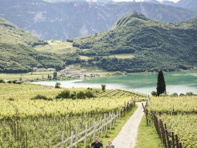 Bild 37 aus  Traubenhof    Pures Leben-Echt und natürlich