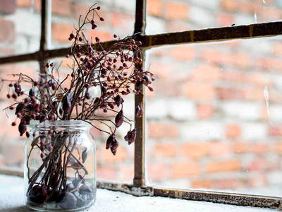 Stallfenster Stilleben