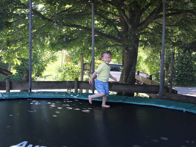 Bild 11 aus  Risthof am Großen Alpsee