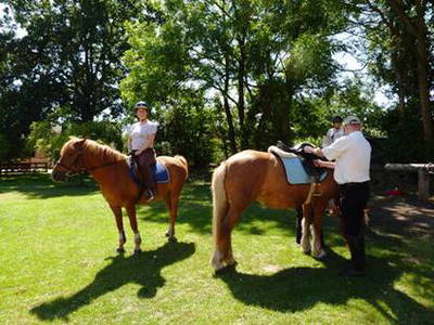 Bild 15 aus  Hof Grüneberg