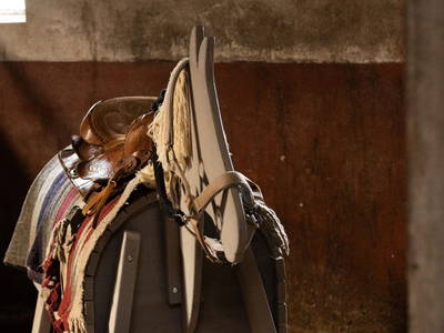 Holzpferd in der Spielscheune