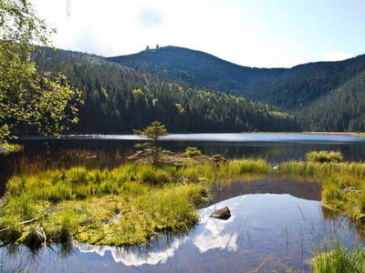 Bild 15 aus  Wofahanslhof