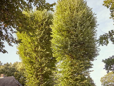 Bild 9 aus  LandSelection Ferienhof Friedrichsthal