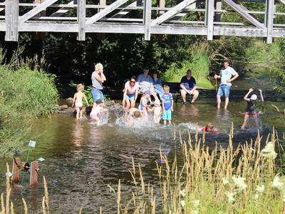 Bild 12 aus  Hof Kilbe