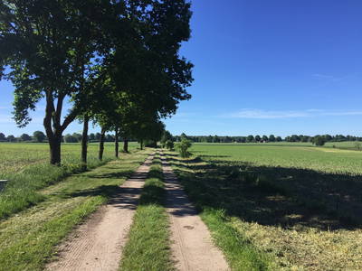 Bild 26 aus  Sande 7