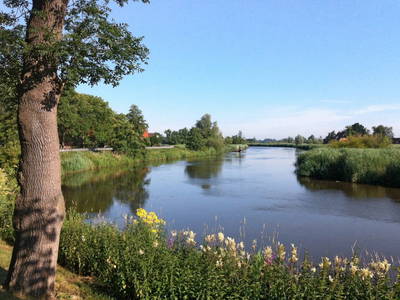 Bild 5 aus  "Auf dem Deich" Ferienwohnungen im Bremer Blockland