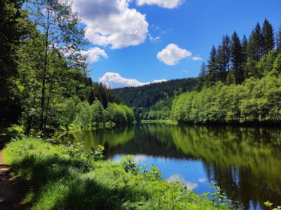 Bild 71 aus  Woferlhof