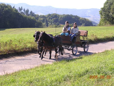 Bild 13 aus  Gasthof zum Grünen Baum
