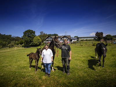 Bild 69 aus  Ferienhof Pulte