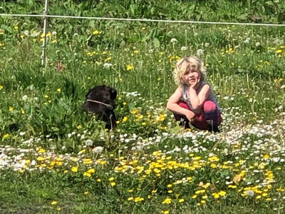 Bild 60 aus  Lindenhof