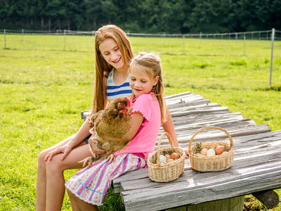 Bild 22 aus  LandSelection Hussnhof - Farm Lodge