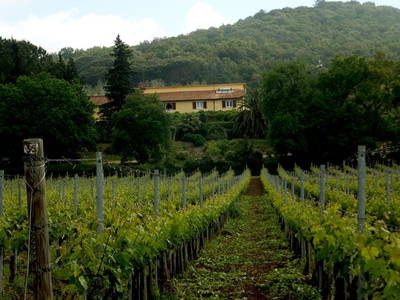 Bild 10 aus  Casa Nova