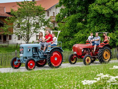 Bild 6 aus  LandSelection Thomahof         -    7 Mal Beliebtester Ferienhof Bayerns