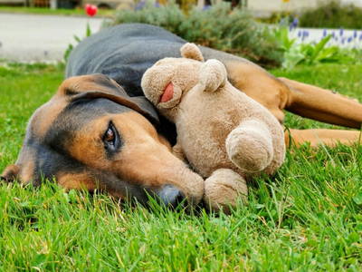 Bild 28 aus  Der Ofenmacherhof  Urlaub am Bauernhof