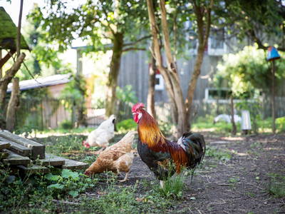 Bild 26 aus  Endlhof