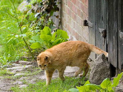 Bild 10 aus  Alte Scheune Krakvitz, Inh. Gisela Stolpe&Peter Hübner