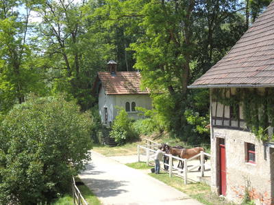 Bild 5 aus  Ferienwohnung Dachsmühle: Natur und Tiere