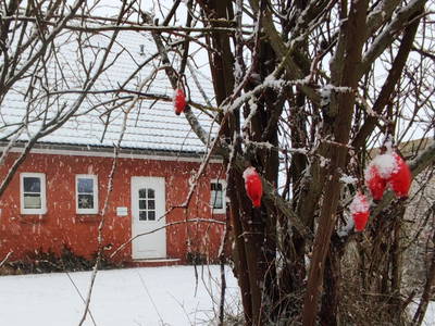 Bild 17 aus  Lieblingsnest  – Ferienwohnungen am Katinger Watt