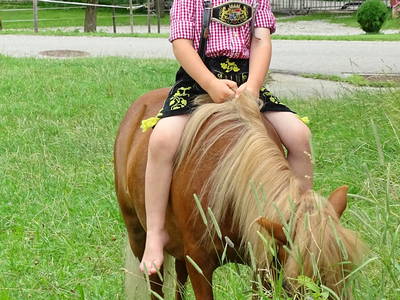 Bild 10 aus  Ablingerhof