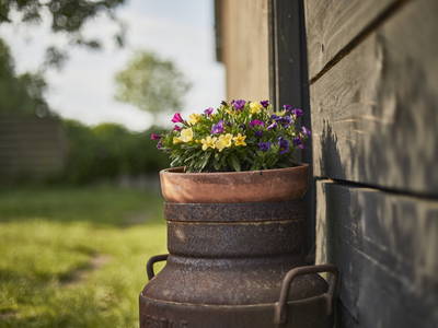 Bild 34 aus  Ferienhof Schmeling