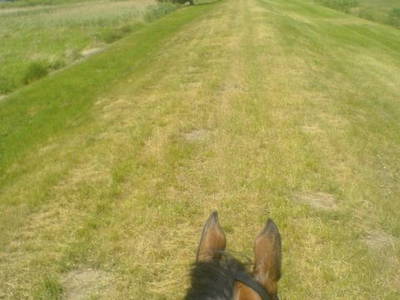 Bild 18 aus  Luisenhof Paretz