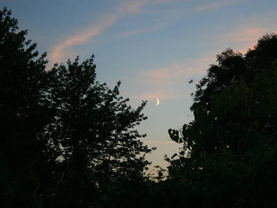 Bild 10 aus  Quellenhof