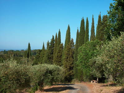 Bild 12 aus  Rifugio Guardistallo