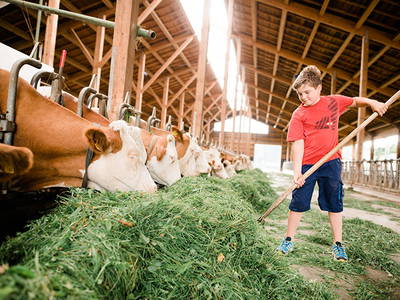 Bild 7 aus  Bernwieserhof